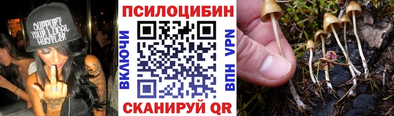 Галлюциногенные грибы MAGIC MUSHROOMS  Купить закладки  Бахчисарай 